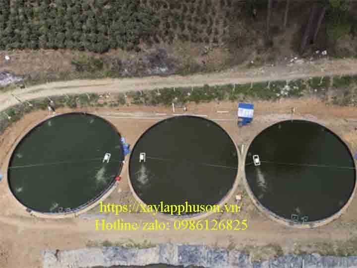 Trang trại nuôi cá tầm công nghệ cao tại Lâm Đồng của công ty Ngọc Mai Trang