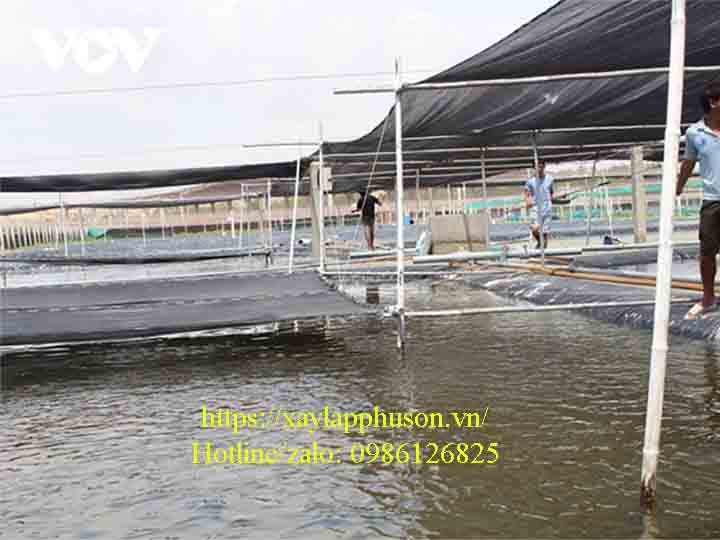 Đầu tư cơ sở vật chất và khoa học kỹ thuật cho nghề nuôi tôm giống tại Ninh Thuận
