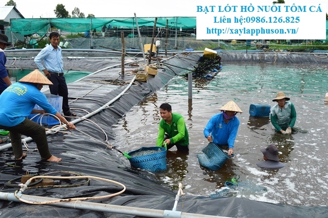 Bạt lót hồ nuôi tôm cá bằng HDPE