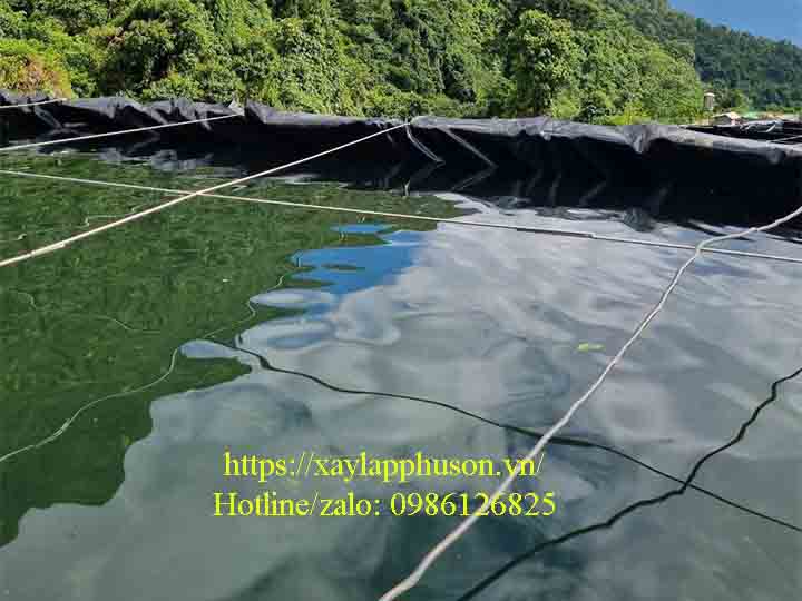 Một hệ thống bể nuôi cá tầm sử dụng bạt nhựa HDPE tại Lào Cai