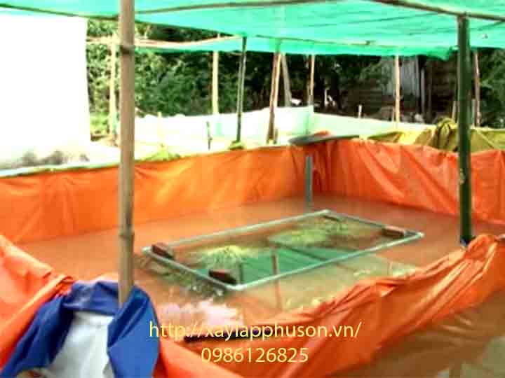Một mô hình nuôi lươn trong bể bạt cho hiệu quả kinh tế cao tại Hà Nam