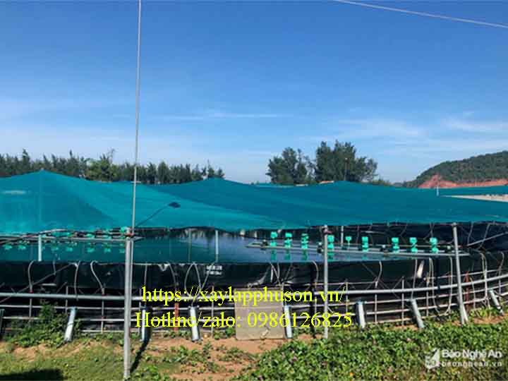 Chi phí cho 1 hồ nuôi tôm siêu thâm canh trong ao bạt tròn tại Nghệ An khoảng 100 triệu