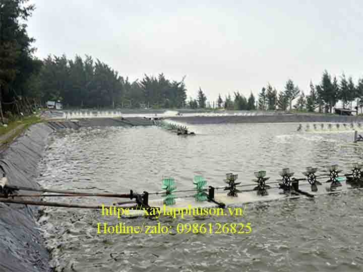 Phát triển mô hình nuôi tôm vụ đông tại Thanh Hóa
